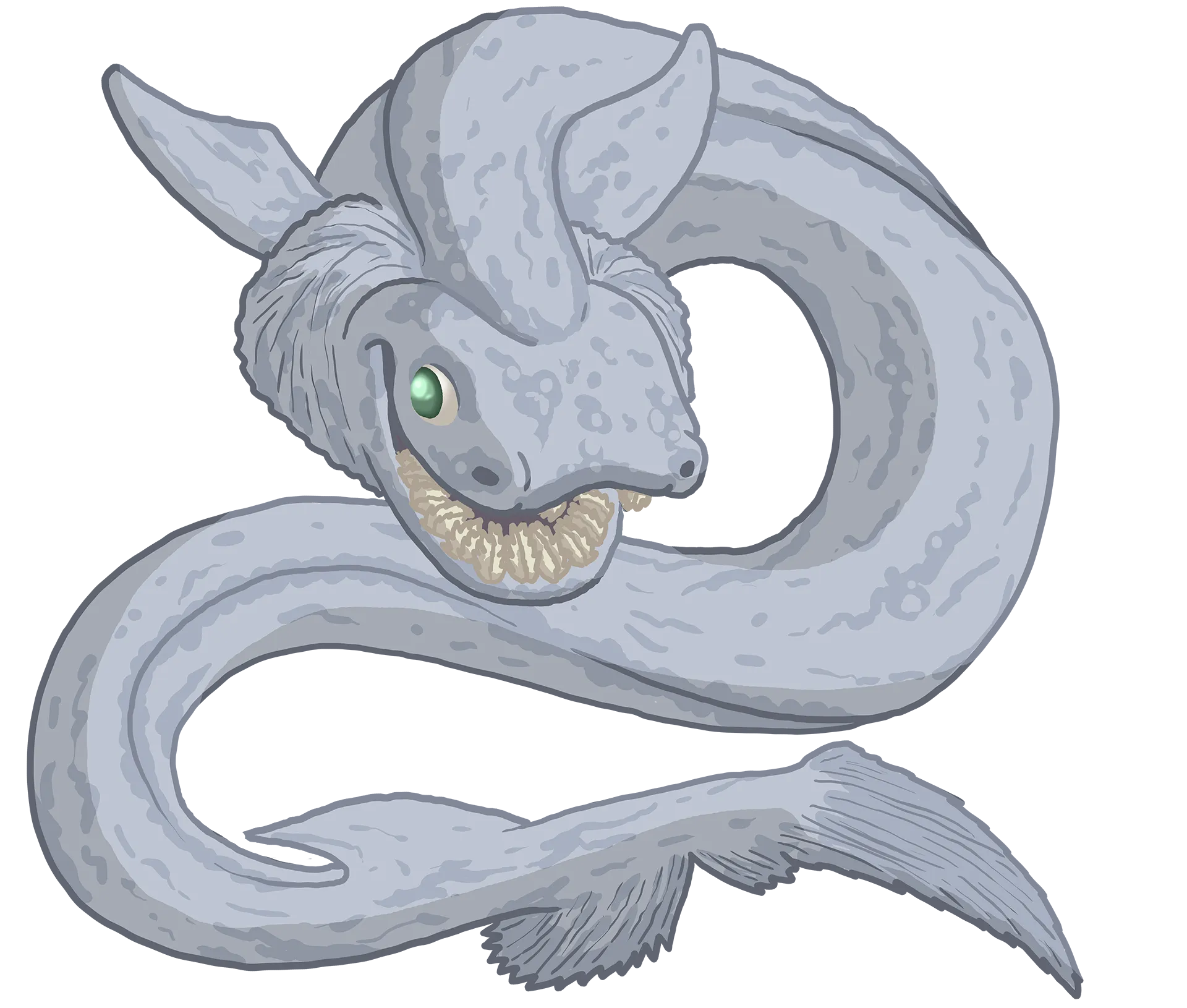 Frilled Shark 1