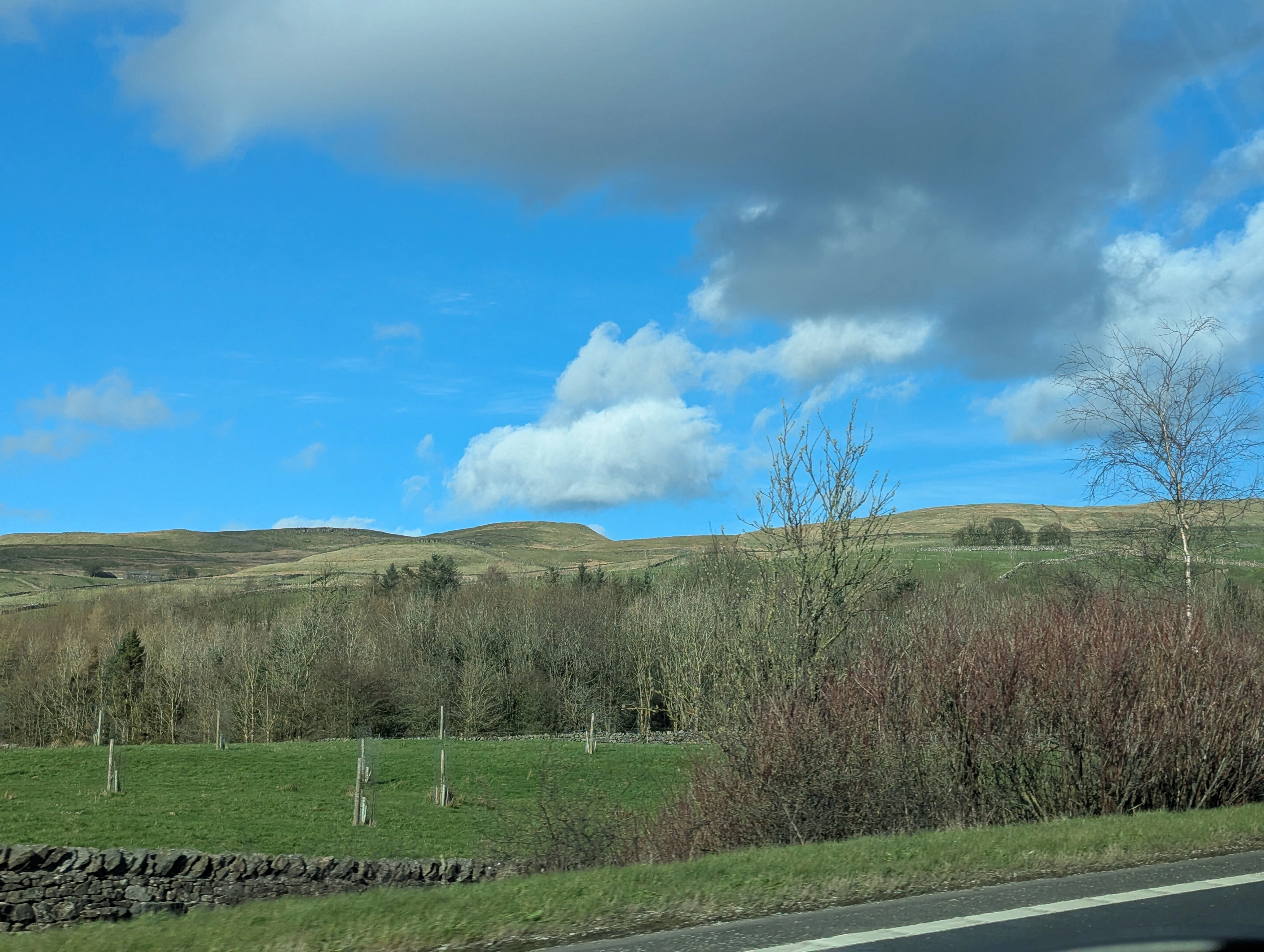 Landscape 1